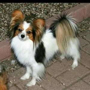 Meet your Posher, Kathleen